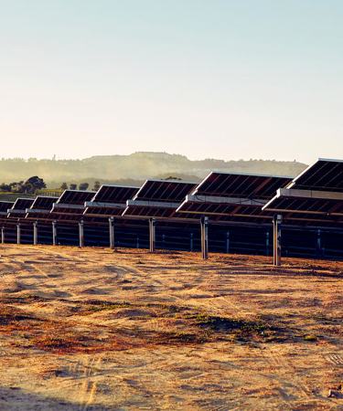 Explore Our Portuguese Office: Meet the Team and Discover Our Solar PV Parks